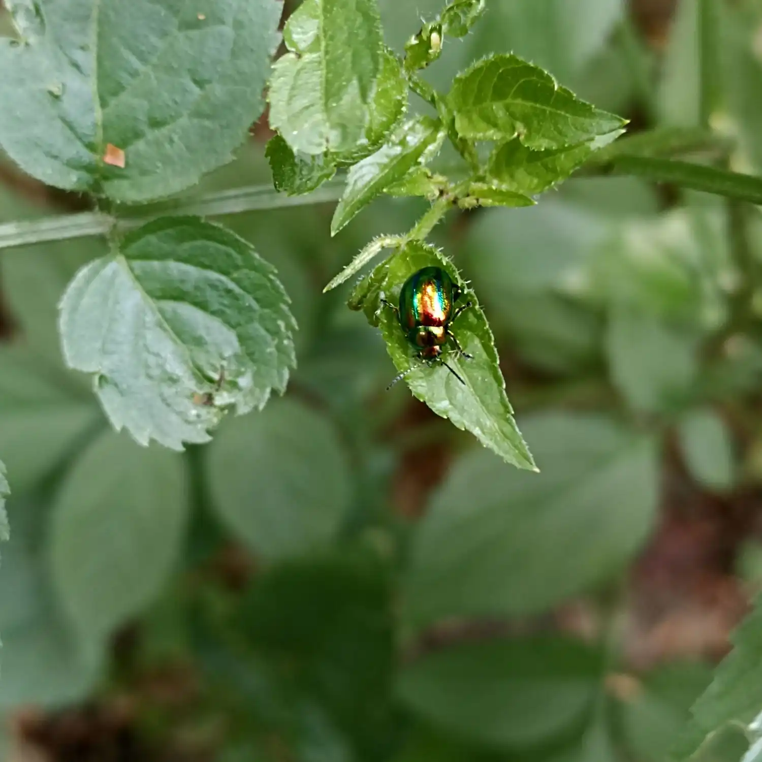 Naturerlebnissen