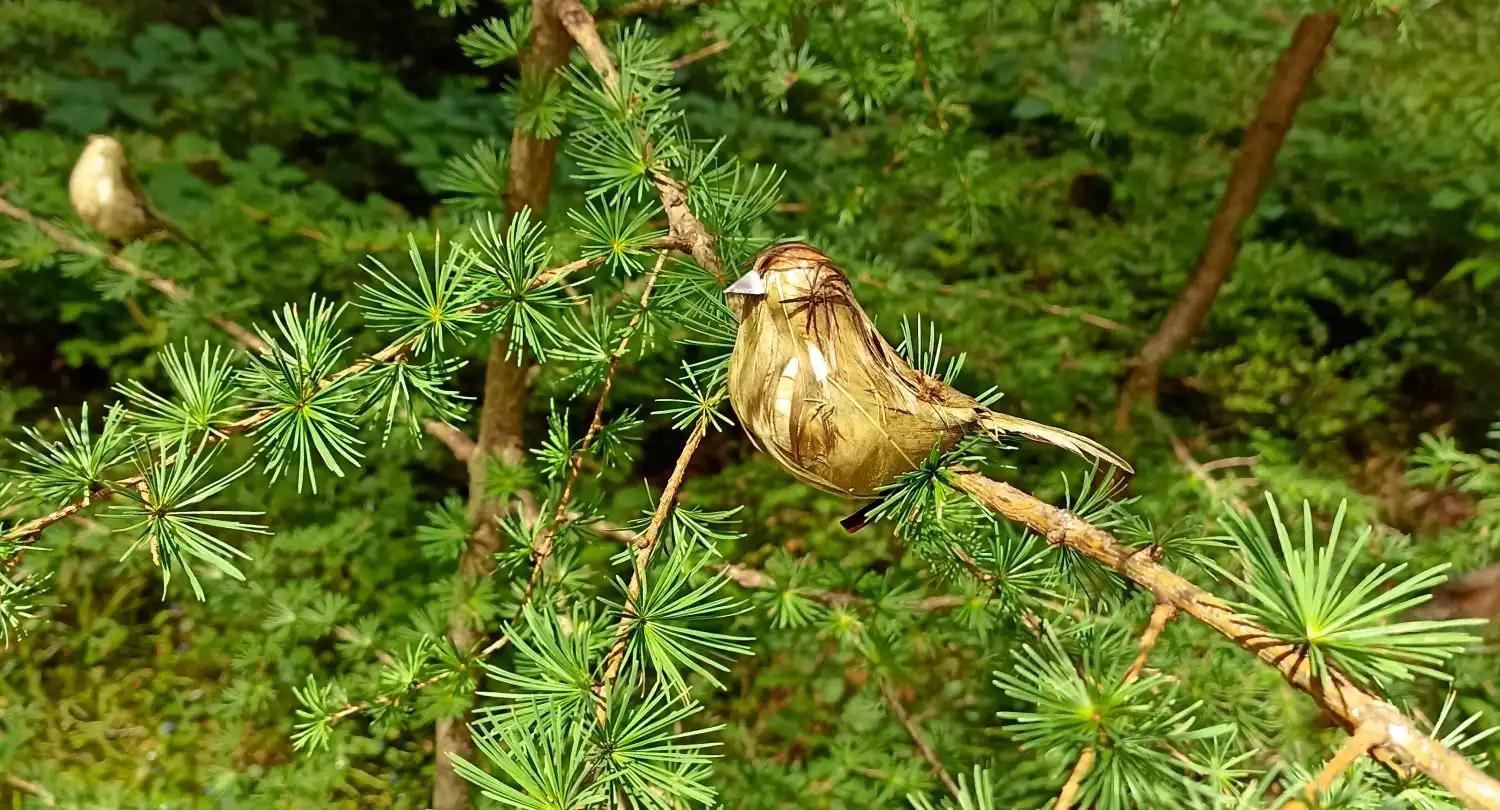 Naturerlebnissen